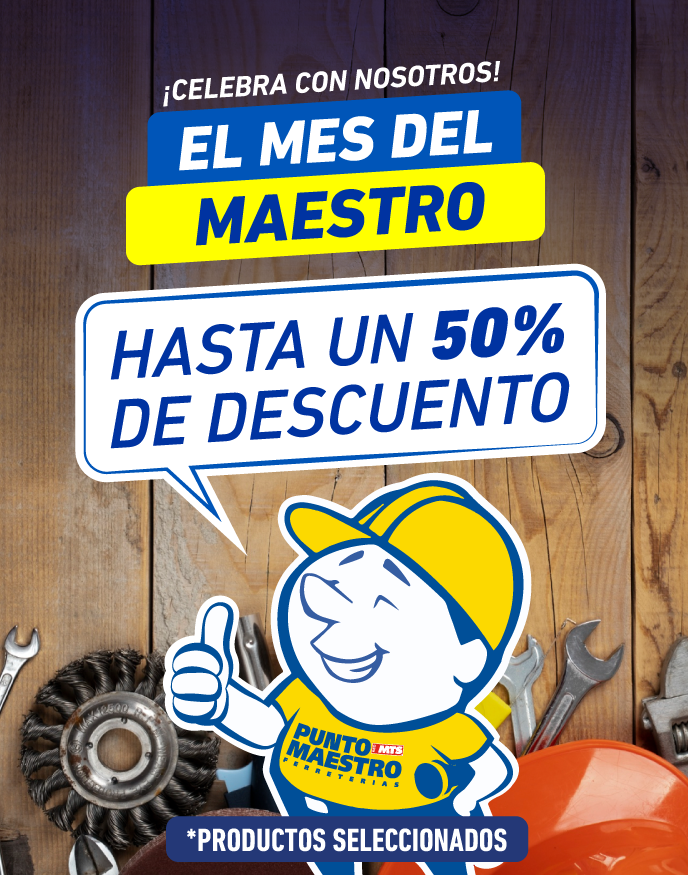 MES DEL MAESTRO
